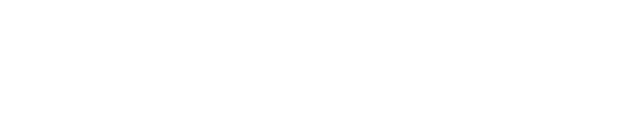 Caspia Overseas logo with a globe and German flag, representing German language training in Kerala